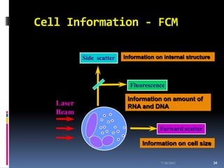 Cell Information - FCM

             Side scatter   Information on internal structure




  Dichroic mirror             Fluorescence

                             Information on amount of
   Laser                     RNA and DNA
   Beam

                                         Forward scatter

                                   Information on cell size


                                          7/18/2011             34
                                                                34
 