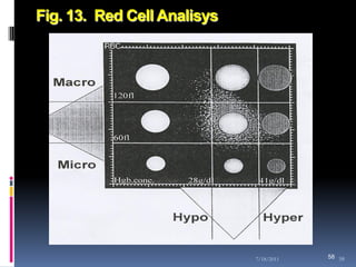 Fig. 13. Red Cell Analisys




                             7/18/2011   58 58
 