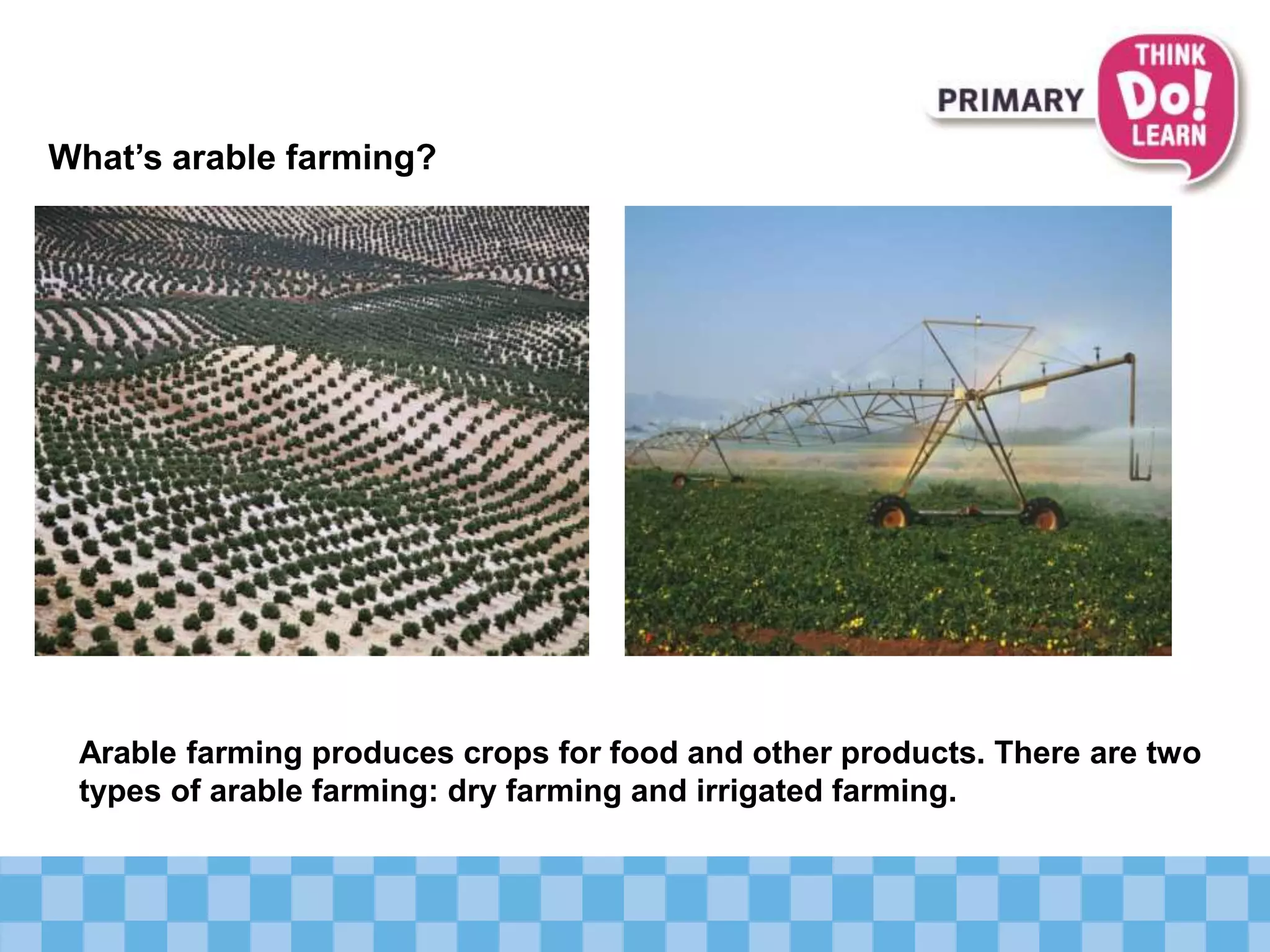 What’s arable farming?
Arable farming produces crops for food and other products. There are two
types of arable farming: dry farming and irrigated farming.
 