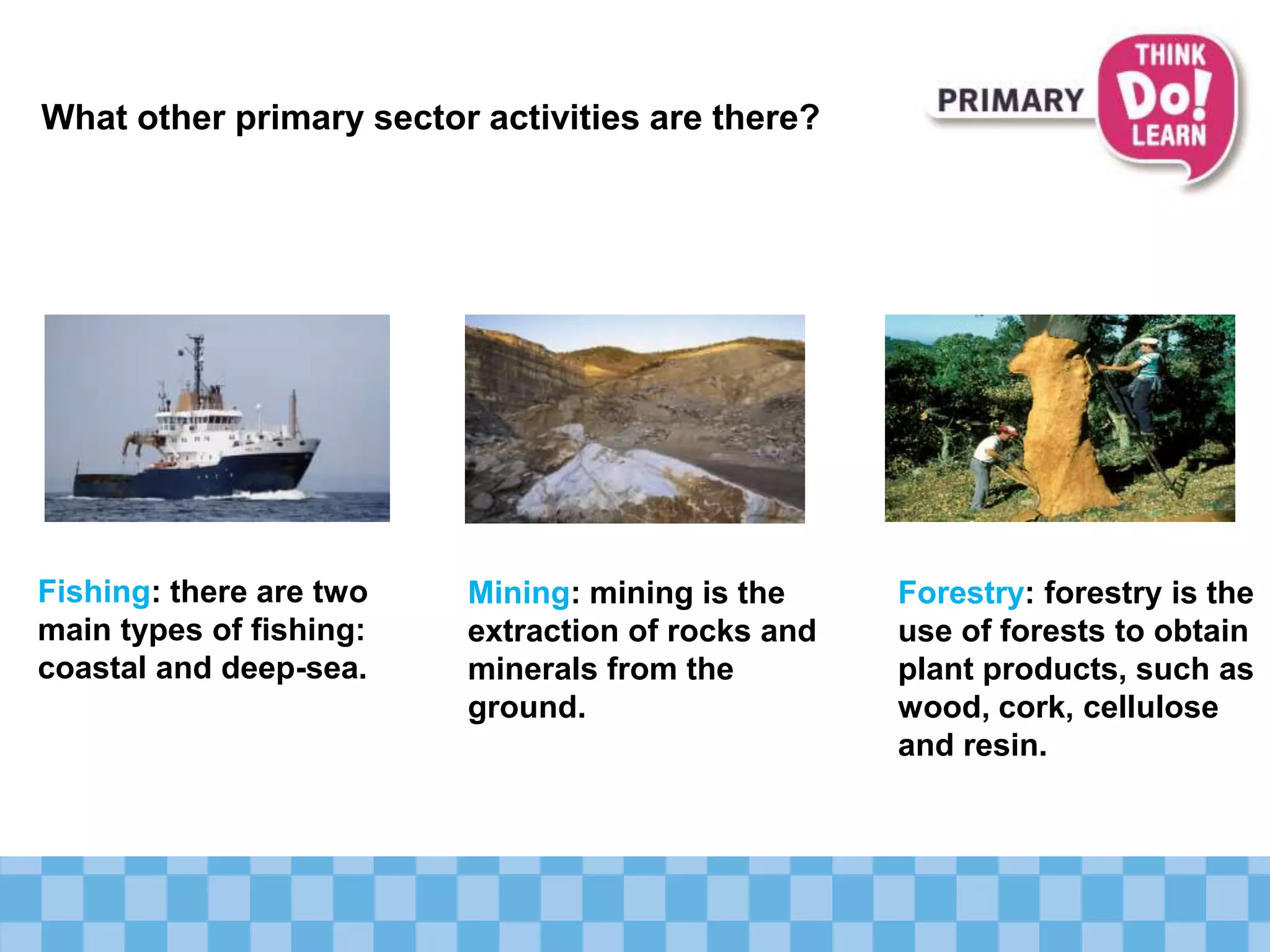 What other primary sector activities are there?
Fishing: there are two
main types of fishing:
coastal and deep-sea.
Mining: mining is the
extraction of rocks and
minerals from the
ground.
Forestry: forestry is the
use of forests to obtain
plant products, such as
wood, cork, cellulose
and resin.
 