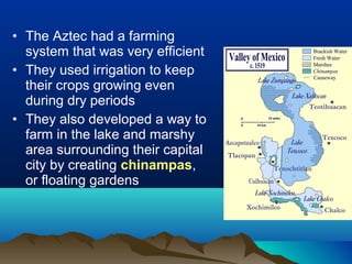 Ss6h1a aztec inca | PPT