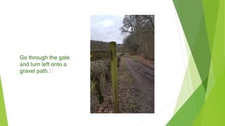 Go through the gate
and turn left onto a
gravel path.﻿
 