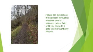 Follow the direction of
the signpost through a
meadow over a
stile and onto a field
until you come to a
gate to enter Ashberry
Woods.
 