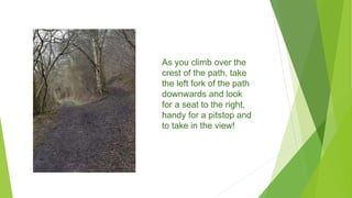 As you climb over the
crest of the path, take
the left fork of the path
downwards and look
for a seat to the right,
handy for a pitstop and
to take in the view!
 