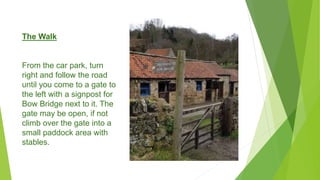The Walk
From the car park, turn
right and follow the road
until you come to a gate to
the left with a signpost for
Bow Bridge next to it. The
gate may be open, if not
climb over the gate into a
small paddock area with
stables.
 