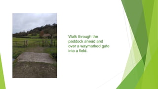 Walk through the
paddock ahead and
over a waymarked gate
into a field.
 