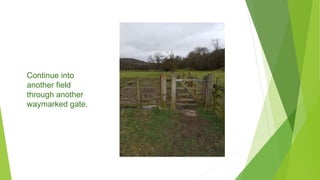 Continue into
another field
through another
waymarked gate.
 