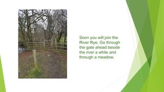 Soon you will join the
River Rye. Go through
the gate ahead beside
the river a while and
through a meadow.
 
