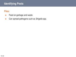Identifying Pests
Flies:
 Feed on garbage and waste
 Can spread pathogens such as Shigella spp.
13-14
 