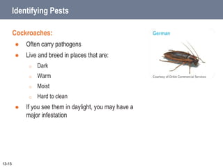 Identifying Pests
Cockroaches:
 Often carry pathogens
 Live and breed in places that are:
o Dark
o Warm
o Moist
o Hard to clean
 If you see them in daylight, you may have a
major infestation
13-15
 