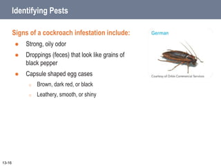 Identifying Pests
Signs of a cockroach infestation include:
 Strong, oily odor
 Droppings (feces) that look like grains of
black pepper
 Capsule shaped egg cases
o Brown, dark red, or black
o Leathery, smooth, or shiny
13-16
 
