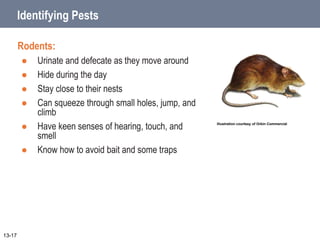 Identifying Pests
Rodents:
 Urinate and defecate as they move around
 Hide during the day
 Stay close to their nests
 Can squeeze through small holes, jump, and
climb
 Have keen senses of hearing, touch, and
smell
 Know how to avoid bait and some traps
Illustration courtesy of Orkin Commercial
13-17
 