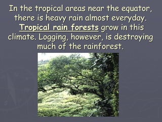 In the tropical areas near the equator,
there is heavy rain almost everyday.
Tropical rain forests grow in this
climate. Logging, however, is destroying
much of the rainforest.
 