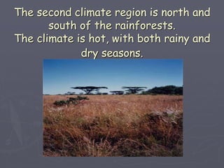 The second climate region is north and
south of the rainforests.
The climate is hot, with both rainy and
dry seasons.
 