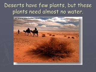 Deserts have few plants, but these
plants need almost no water.
 