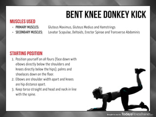 Brought to you by
BENT KNEE DONKEY KICK
MUSCLES USED
STARTING POSITION
•	 PRIMARY MUSCLES:		 Gluteus Maximus, Gluteus Medius and Hamstrings
•	 SECONDARY MUSCLES:	Levator Scapulae, Deltoids, Erector Spinae and Transverse Abdominis
1.	 Position yourself on all fours (face down with
elbows directly below the shoulders and
knees directly below the hips); palms and
shoelaces down on the floor.
2.	 Elbows are shoulder width apart and knees
are hip distance apart.
3.	 Keep torso straight and head and neck in line
with the spine.
 