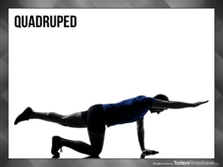 Brought to you by
QUADRUPED
 