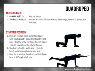 Brought to you by
QUADRUPED
MUSCLES USED
STARTING POSITION
•	 PRIMARY MUSCLES:		 Erector Spinae
•	 SECONDARY MUSCLES:	Gluteus Maximus, Gluteus Medius, Hamstrings, Levator Scapulae, and
Deltoids
1.	 Position yourself on all fours (face down
with hands directly below the shoulders and
knees directly below the hips); fingers facing
straight forward and toes tucked under.
2.	 Hands are shoulder width apart (slightly
bent) and knees are hip distance apart.
3.	 Keep torso straight, hips level and both knees
bent at 90° angle at all times.
 
