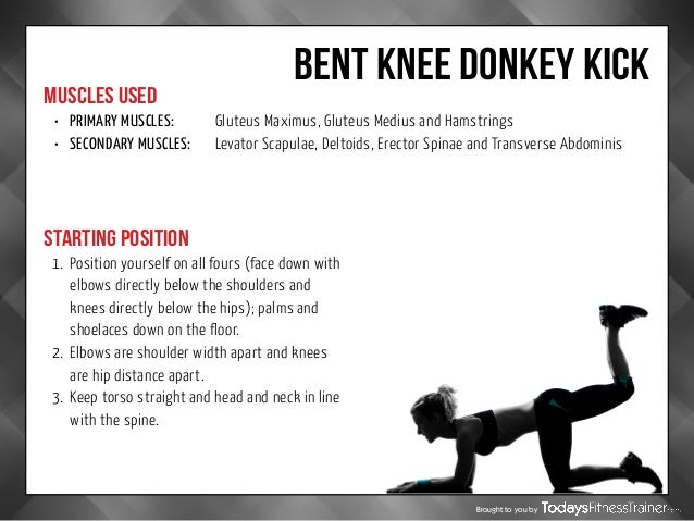 Absolute Best Butt Exercises