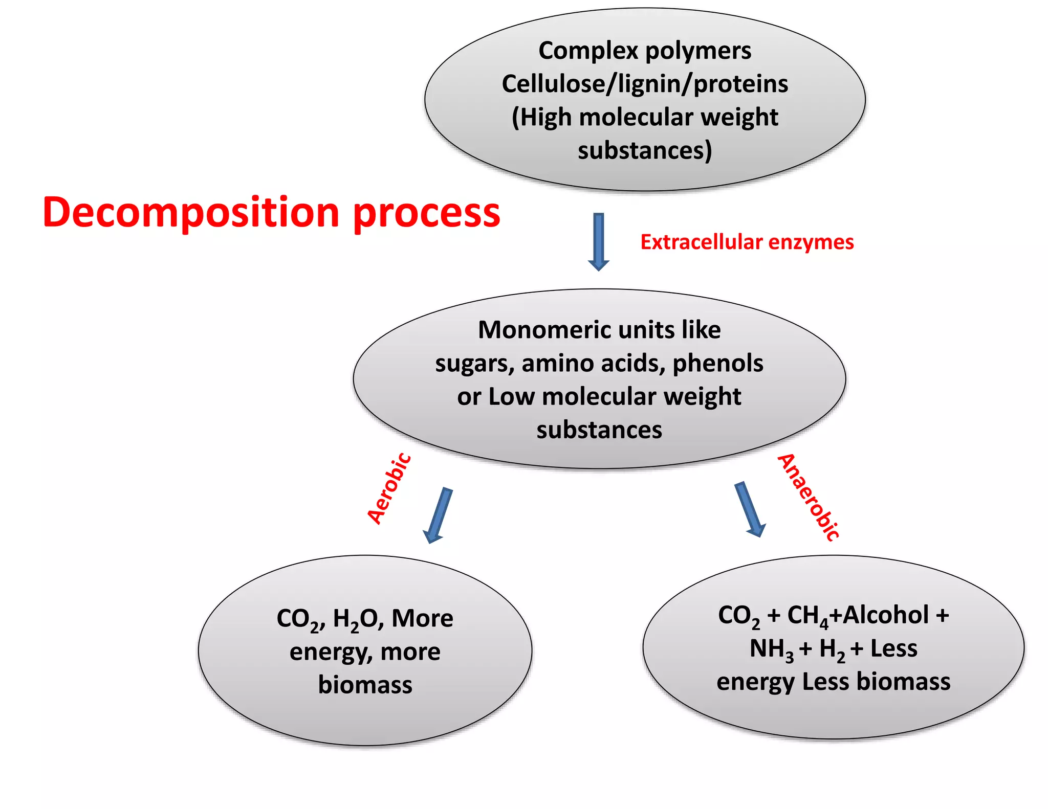 CO2, H2O, More
energy, more
biomass
CO2 + CH4+Alcohol +
NH3 + H2 + Less
energy Less biomass
Extracellular enzymes
Complex polymers
Cellulose/lignin/proteins
(High molecular weight
substances)
Monomeric units like
sugars, amino acids, phenols
or Low molecular weight
substances
Decomposition process
 