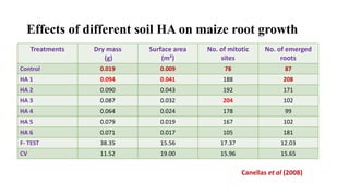 Characterization of Humic Fraction | PPTX