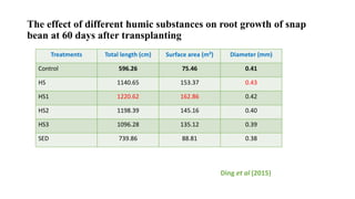 Characterization of Humic Fraction | PPTX