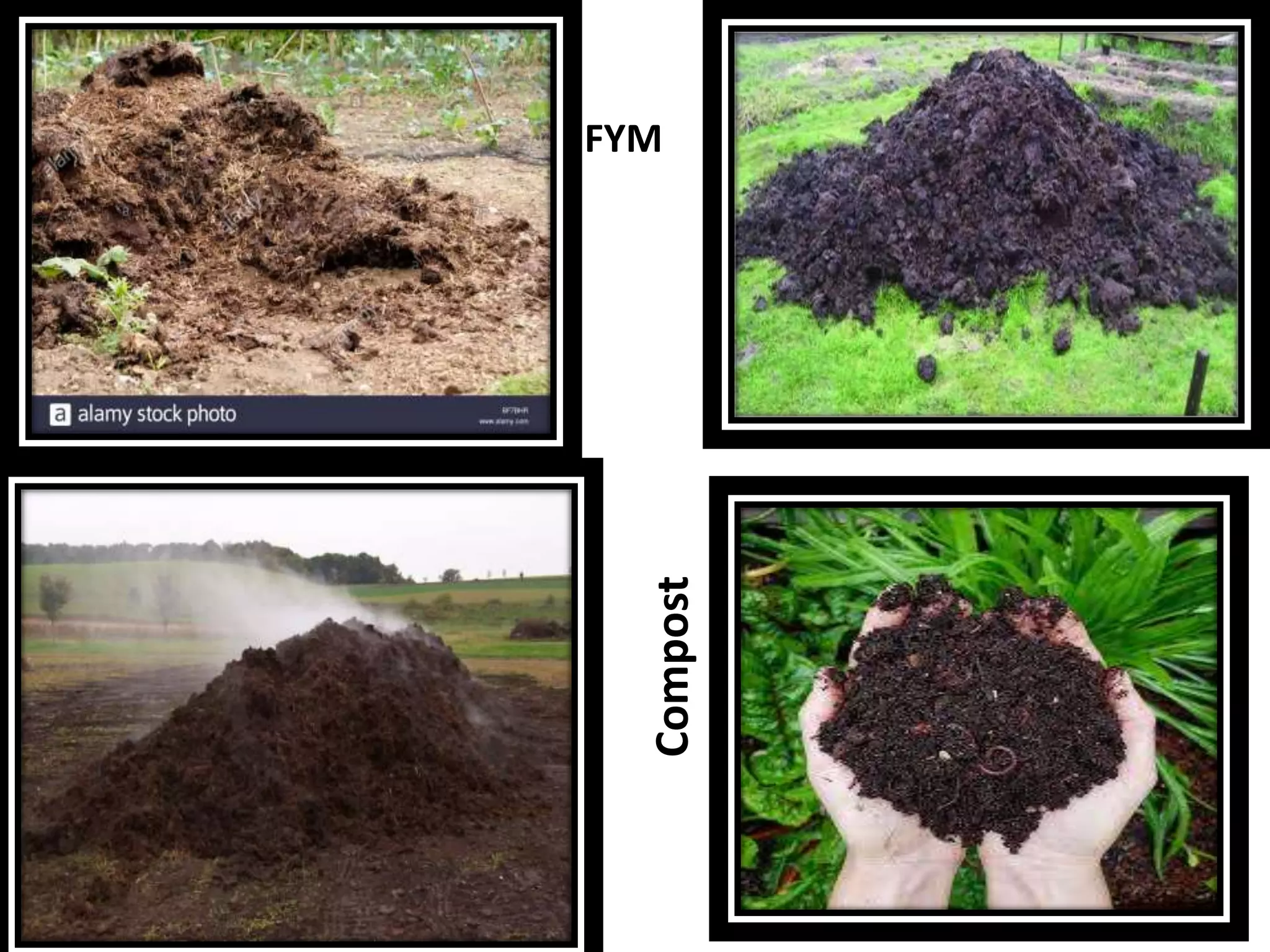 FYM
Compost
 