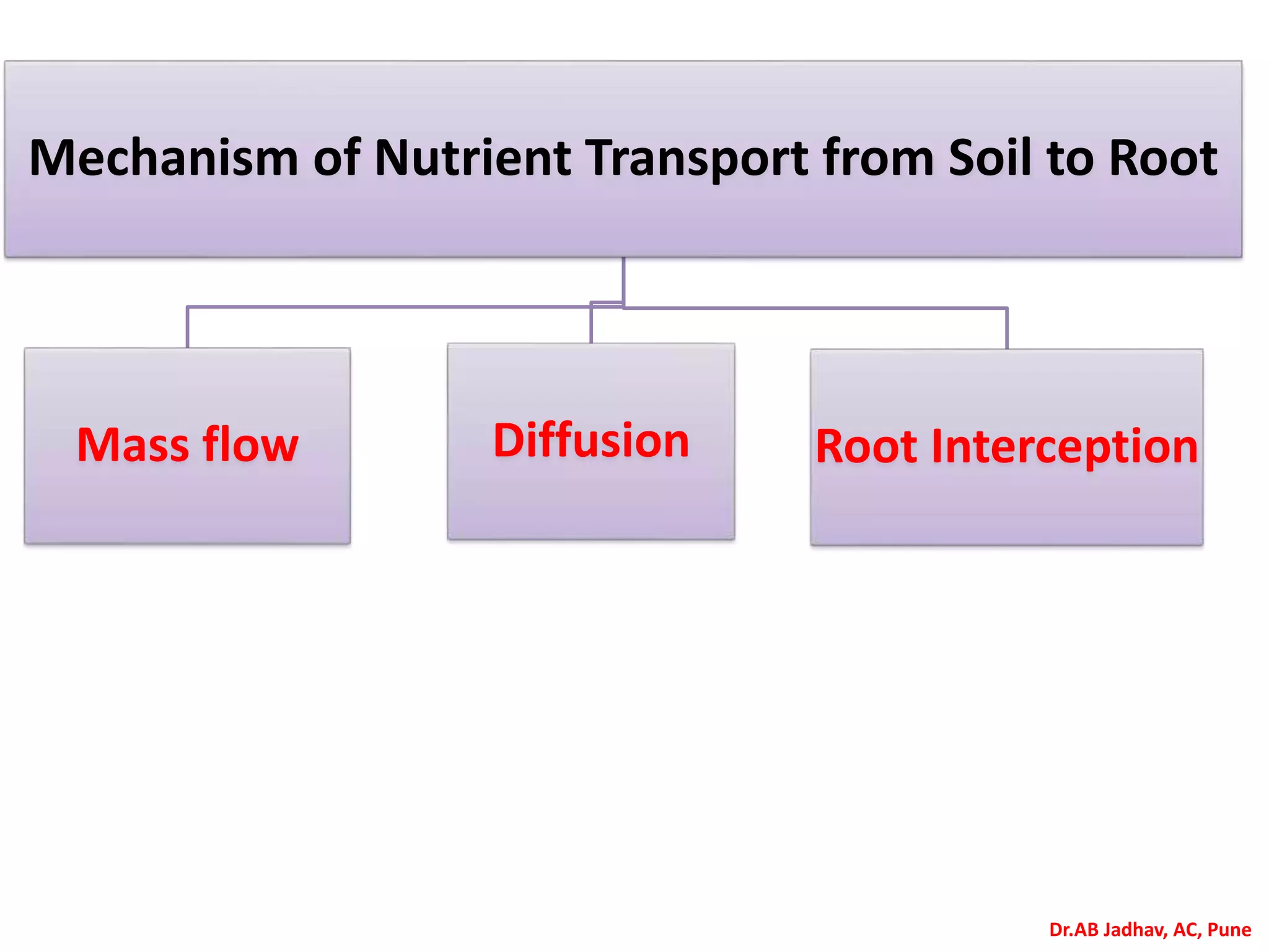 Ssac 353 mechanism of nutrient transport | PPTX