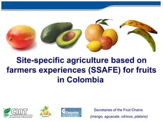 Site-specific agriculture based on farmers experiences (SSAFE) for fruits in Colombia   Secretaries of the Fruit Chains  (mango, avocado   , citrus, plántain) 