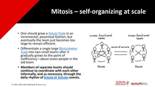 Why 47% of Agile Transformations Fail - Jeff Sutherland | PDF