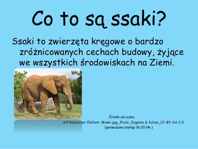 Ssaki