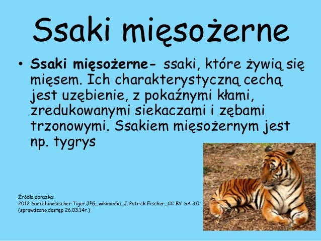 Ssaki