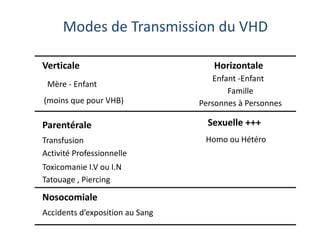 Verticale Horizontale
Mère - Enfant
Enfant -Enfant
Famille
Personnes à Personnes
Parentérale Sexuelle +++
Transfusion
Activité Professionnelle
Toxicomanie I.V ou I.N
Tatouage , Piercing
Nosocomiale
Accidents d’exposition au Sang
Homo ou Hétéro
Modes de Transmission du VHD
(moins que pour VHB)
 