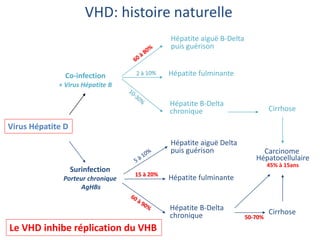 Virus Hépatite D
Co-infection
+ Virus Hépatite B
Surinfection
Porteur chronique
AgHBs
Hépatite fulminante
Hépatite aiguë B-Delta
puis guérison
Hépatite B-Delta
chronique
VHD: histoire naturelle
Cirrhose
50-70%
Carcinome
Hépatocellulaire
45% à 15ans
Hépatite fulminante
Hépatite aiguë Delta
puis guérison
Hépatite B-Delta
chronique
Cirrhose
Le VHD inhibe réplication du VHB
 