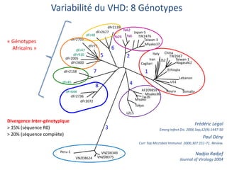 1
4
2
3
8
7
5
6
dFr45
dFr2158
dFr2600
dFr2005
dFr910
dFr47
dFr2703
dFr73
dFr48
dFr2627
dFr2139
dFr644
dFr2736
dFr2072
Peru-1 VNZD8349
VNZD8375VNZD8624
L215
Tokyo
Miyako
Tw2b
Miyako36
AF209859
Ya26
Ya62
Ya6
Japan-S
TW2476
Taiwan-3
Miyako37
Cagliari
Iran
Italy
US2
China
TW2667
Taiwan-1
Nagasaki2
Ethiopia
Lebanon
US1
SomaliaNauru
Variabilité du VHD: 8 Génotypes
Frédéric Legal
Emerg Infect Dis. 2006 Sep;12(9):1447-50
Paul Dény
Curr Top Microbiol Immunol. 2006;307:151-71. Review.
Nadjia Radjef
Journal of Virology 2004
Divergence Inter-génotypique
> 15% (séquence R0)
> 20% (séquence complète)
« Génotypes
Africains »
 