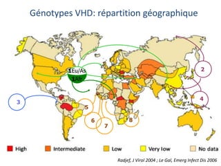 Génotypes VHD: répartition géographique
3
4
2
5
7
6 8
Radjef, J Virol 2004 ; Le Gal, Emerg Infect Dis 2006
1
1Afr
1Eu/As
 