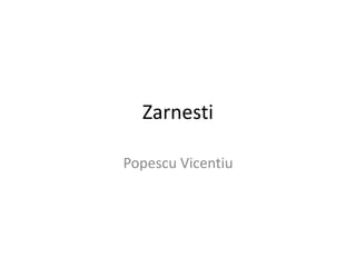 Zarnesti
Popescu Vicentiu
 