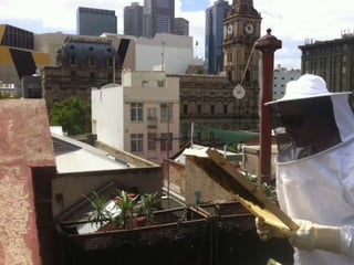 Awesome Foundation at #sibsyd 2011