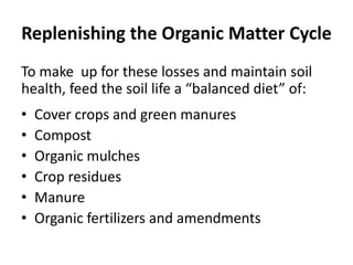 Replenishing the Organic Matter Cycle
To make up for these losses and maintain soil
health, feed the soil life a “balanced diet” of:
•
•
•
•
•
•

Cover crops and green manures
Compost
Organic mulches
Crop residues
Manure
Organic fertilizers and amendments

 