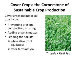 Cover Crops: the Cornerstone of
Sustainable Crop Production
Cover crops maintain soil
quality by:
• Preventing erosion,
compaction, crusting
• Adding organic matter
• Feeding the soil life
 while alive (root
exudates)
 after termination
Triticale + Field Pea

 