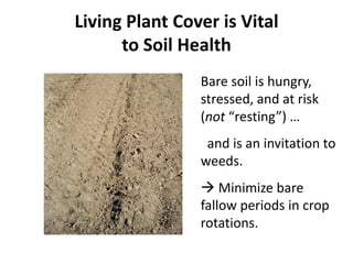 Living Plant Cover is Vital
to Soil Health
Bare soil is hungry,
stressed, and at risk
(not “resting”) …
and is an invitation to
weeds.
 Minimize bare
fallow periods in crop
rotations.

 