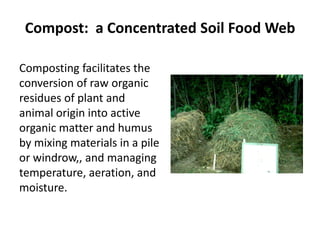 Compost: a Concentrated Soil Food Web
Composting facilitates the
conversion of raw organic
residues of plant and
animal origin into active
organic matter and humus
by mixing materials in a pile
or windrow,, and managing
temperature, aeration, and
moisture.

 