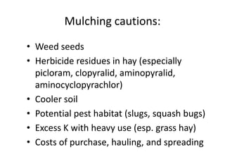 Mulching cautions:
• Weed seeds
• Herbicide residues in hay (especially
picloram, clopyralid, aminopyralid,
aminocyclopyrachlor)
• Cooler soil
• Potential pest habitat (slugs, squash bugs)
• Excess K with heavy use (esp. grass hay)
• Costs of purchase, hauling, and spreading

 