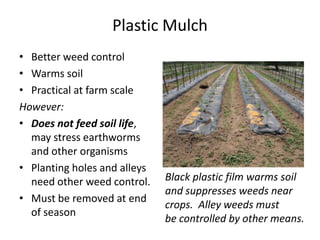 Plastic Mulch
• Better weed control
• Warms soil
• Practical at farm scale
However:
• Does not feed soil life,
may stress earthworms
and other organisms
• Planting holes and alleys
need other weed control.
• Must be removed at end
of season

Black plastic film warms soil
and suppresses weeds near
crops. Alley weeds must
be controlled by other means.

 