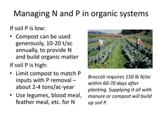 Managing N and P in organic systems
If soil P is low:
• Compost can be used
generously, 10-20 t/ac
annually, to provide N
and build organic matter
If soil P is high:
• Limit compost to match P
inputs with P removal –
about 2-4 tons/ac-year
• Use legumes, blood meal,
feather meal, etc. for N

Broccoli requires 150 lb N/ac
within 60-70 days after
planting. Supplying it all with
manure or compost will build
up soil P.

 