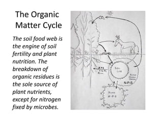 The Organic
Matter Cycle
The soil food web is
the engine of soil
fertility and plant
nutrition. The
breakdown of
organic residues is
the sole source of
plant nutrients,
except for nitrogen
fixed by microbes.

N-P-S

 