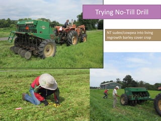 Trying No-Till Drill
NT sudex/cowpea into living
regrowth barley cover crop
 