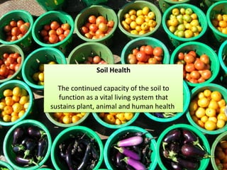 Soil Health
The continued capacity of the soil to
function as a vital living system that
sustains plant, animal and human health.
 