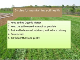 5 rules for maintaining soil health
1. Keep adding Organic Matter
2. Keep the soil covered as much as possible
3. Test and balance soil nutrients, add what’s missing
4. Rotate crops
5. Till thoughtfully and gently
 