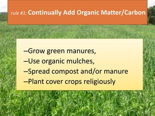 rule #1: Continually Add Organic Matter/Carbon
–Grow green manures,
–Use organic mulches,
–Spread compost and/or manure
–Plant cover crops religiously
 